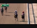 【競馬】2019 ヴォスバーグS　インペリアルヒント