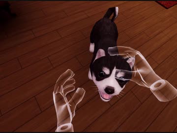 VRのワンちゃんが賢かったのでご褒美をあげました。