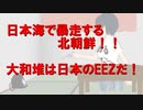 日本海で暴走する北朝鮮!!大和堆は日本のEEZだ！（再投稿）