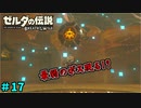 【続編決定記念】のんびりと伝説「ゼルダの伝説～ブレスオブザワイルド～」　＃17