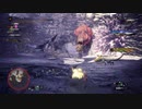 チャージアックスで導きの地を攻略part11