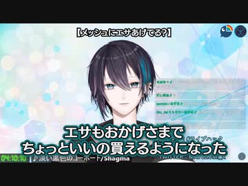 コメント「メッシュに毎日話しかけて餌ちゃんとあげてる？」