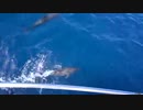 180224_A_29.mp473960　荒谷竜太
