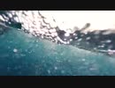 181004_04_Dolphins-Whale_02_preview　荒谷竜太