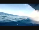 181004_04_Dolphins-Whale_06_preview　荒谷竜太