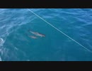 180224_A_26.mp473607　荒谷竜太