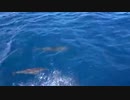 180224_A_29.mp473960　荒谷竜太