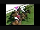 1990年 コックスプレート(W. S. Cox Plate) ベタールースンアップ (Better Loosen Up)