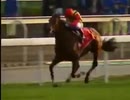 2003年 第17回香港カップ（Hong Kong Cup）ファルブラヴ (Falbrav)