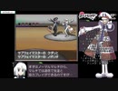 ポケットモンスター ブラック RTA おまけ part13/10