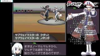 ポケットモンスター ブラック RTA おまけ part13/10