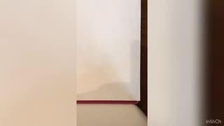 ドラえもん 絵描き歌 やってみた
