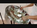 アンダーザシー【演奏してみた：スティールパン】リトルマーメイド_ディズニー音楽