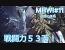 【MHWI：アイスボーン】新米ハンター極寒セリエナ生活#11～ストーリー編～【ゲーム実況】