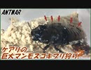 5000匹のケアリvs切断されてないマダガスカルゴキブリ～アリのマンモス狩り～