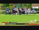 2019年　仏国　アラビアンワールドカップ　G1