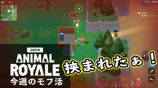 【Super Animal Royale】今週のモフ活 Part 3