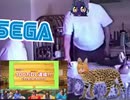 100万DL達成して討死するけものフレンズ3.sega