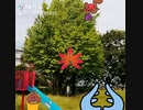 あるいたきせき、まちのこえ、のんびりあたっく＾＾（なーんだ？こんにちわー…