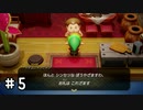【ゼルダの伝説夢をみる島】思い出リメイク⁂Part5【実況プレイ】