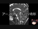 【ゆっくり朗読】ゆっくりさんと不思議な病気 その108