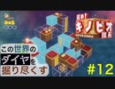 【進め！キノピオ隊長】この世界のダイヤを掘り尽くす【#12】