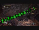【刀剣乱舞】狩国の狩人日和