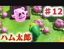 昔は最初の村でずっとスタンバってました#12【ゼルダの伝説夢をみる島】
