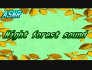 【ASMR】Night forest sound