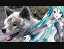 【初音ミク】 Hello Joe 【オリジナル】