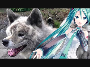 【初音ミク】 Hello Joe 【オリジナル】
