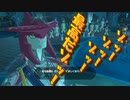 【実況】ゼルダの伝説 BREATH OF THE WILD　Part28【初見】