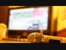 [ニコカラＢ２] VS / ポルノグラフィティ (歌詞：あり /　offvocal　ガイドメロディーなし)