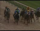1988年 第5回ブリーダーズカップ・ジュヴェナイルフィリーズ（Breeders' Cup Juvenile Fillies）オープンマインド（Open Mind）
