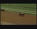 1994年 ゴーフォーワンドS（Go For Wand Stakes）スカイビューティ（Sky Beauty）