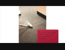Aqua-Dry Carpet Cleaning Care in Ventura, CA