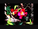 【実況】頽廃した村での恐怖体験話 part1【カイダン実ハ。】