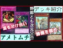 野郎ども次元デッキ紹介 Part-30【アメトムチ】