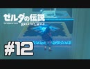 【実況】ゼルダの伝説 ブレスオブザワイルドを実況プレイ part12【BotW】