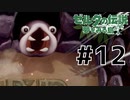 ナマズの大口を挑戦する【 ゼルダの伝説 夢をみる島 】 #12
