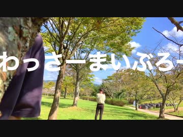 ［ニコラップ］わっさーまいぶろー/ tkc