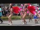 第49回神戸まつり2019 サンバ #8