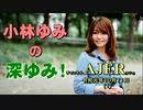 「決算審議について(前半)」小林ゆみ  AJER2019.10.11(1)
