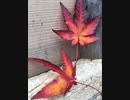 《散歩道／JUDY AND MARY》を歌ってみた♪