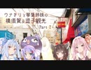 ウナきり＆琴葉姉妹のグダ旅【横須賀編その2】
