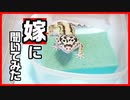 【爬虫類嫌い！？】嫁にレオパの好きなモルフ₍品種₎を聞いてみたらすごかった！！【ナレーションも嫁】