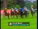 1995年 第39回ムーラン・ド・ロンシャン賞 (Prix du Moulin de Longchamp)リッジウッドパール（Ridgewood Pearl）