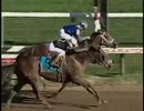 2006年 ホイットニーハンデキャップ （Whitney Handicap）インヴァソール（Invasor）