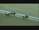 2006年 第18回シガーマイルハンデキャップ (Cigar Mile Handicap) ディスクリートキャット（Discreet Cat）