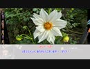 憎き害虫をコロコロするフラワーナイトガール　Part137